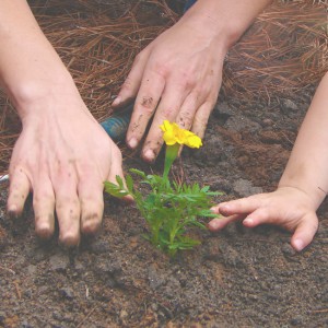 gardening